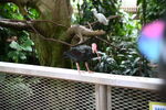 DSC_9061.JPG
